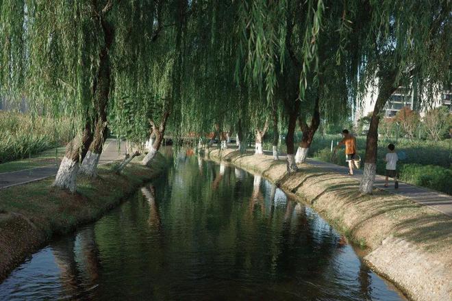 “东方明珠”？初秋带娃往高处去！AG真人试玩平台长沙人有自己的(图7)