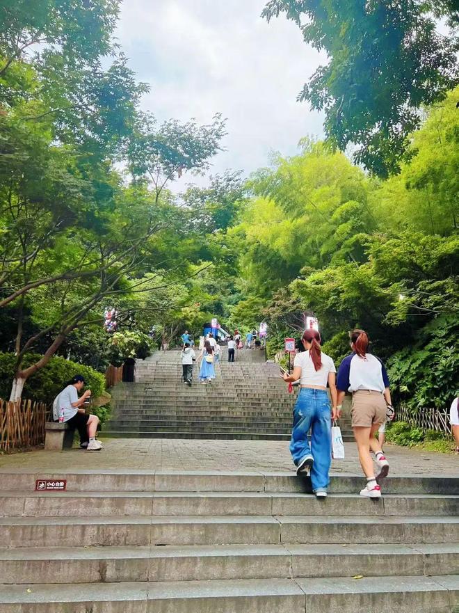 “东方明珠”？初秋带娃往高处去！AG真人试玩平台长沙人有自己的(图9)