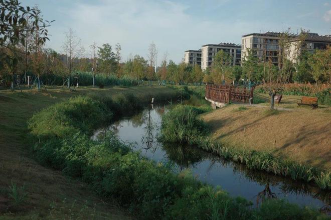 “东方明珠”？初秋带娃往高处去！AG真人试玩平台长沙人有自己的(图13)