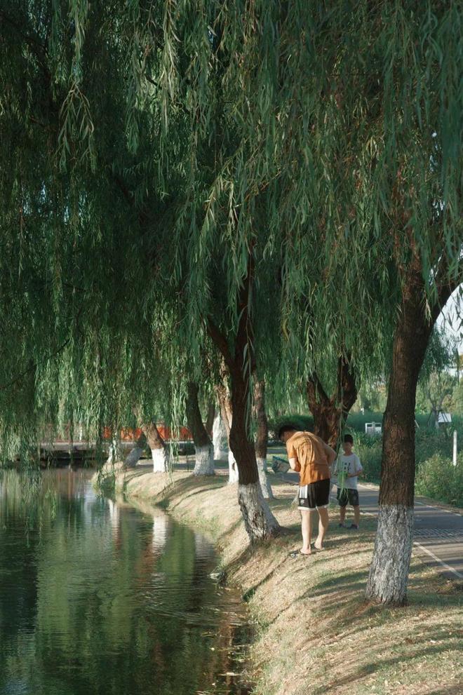 “东方明珠”？初秋带娃往高处去！AG真人试玩平台长沙人有自己的(图18)