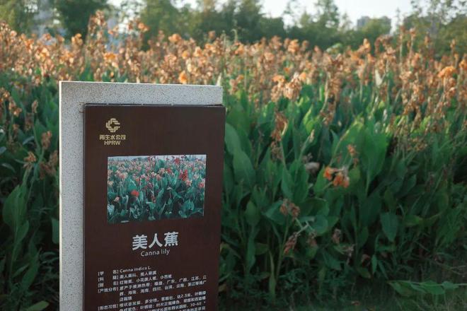 “东方明珠”？初秋带娃往高处去！AG真人试玩平台长沙人有自己的(图23)