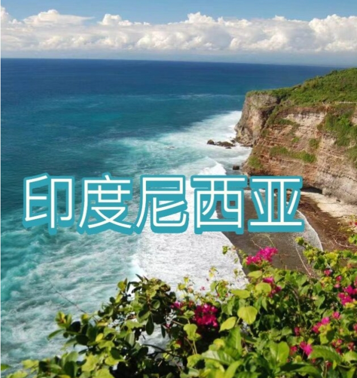 国际电商(印尼)产业博览会AG真人平台2025中国(图3)