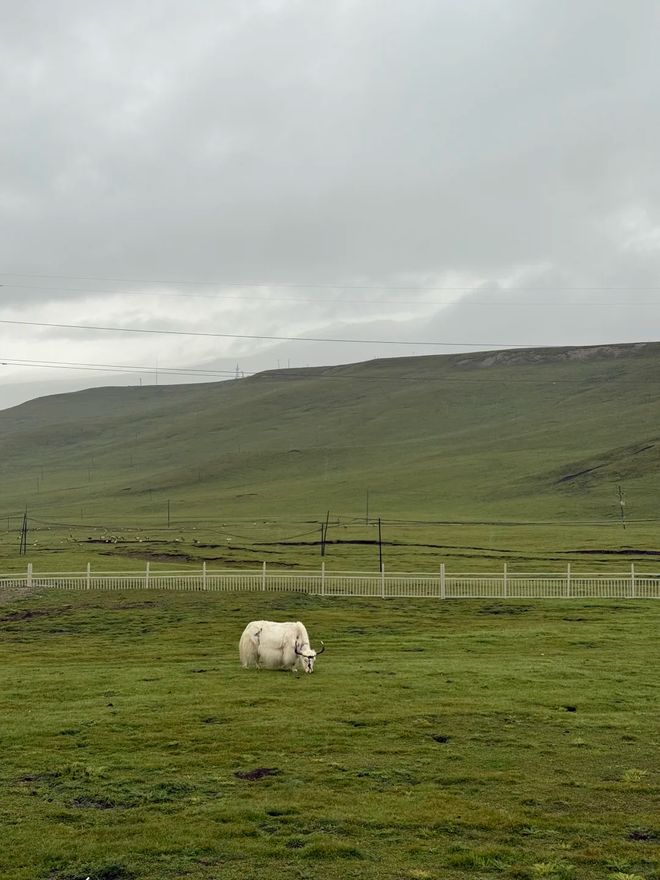 份甘青大环线最佳路线图与深度旅游攻略AG真人网青甘大环线怎么玩？收藏这(图1)